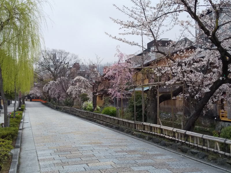 祇園白川辺り / 京都 ブログガイド