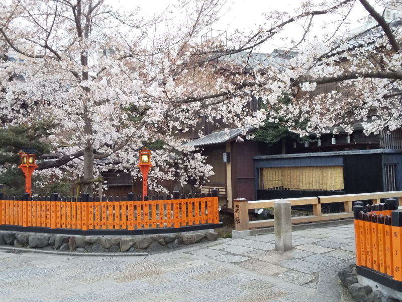 祇園白川辺り / 京都 ブログガイド