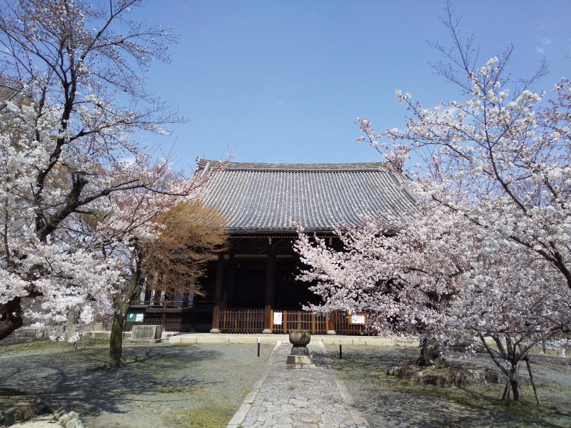 立本寺 2021 / 京都ブログガイド
