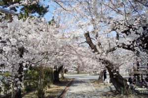 立本寺 2021 / 京都ブログガイド