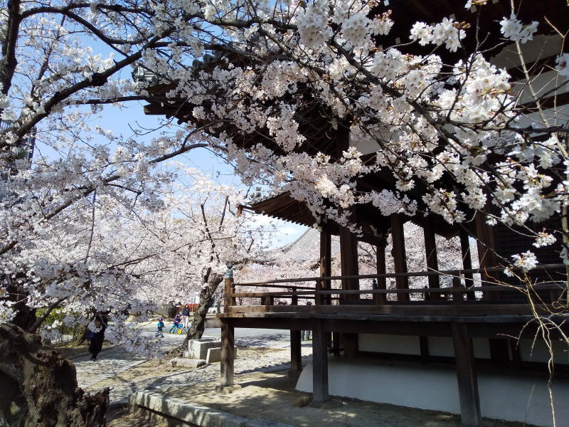 立本寺 2021 / 京都ブログガイド