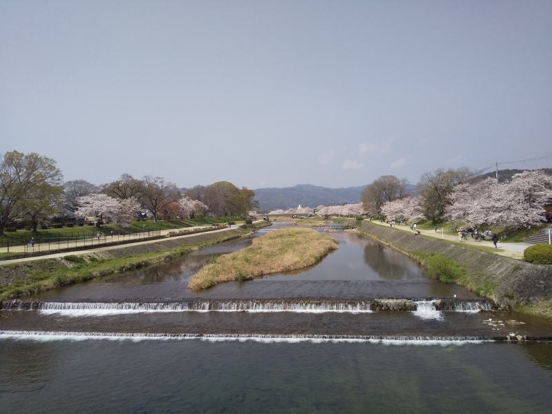 賀茂川 2021 / 京都ブログガイド