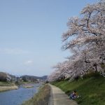 高野川 2021 / 京都ブログガイド