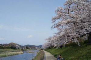 高野川 2021 / 京都ブログガイド