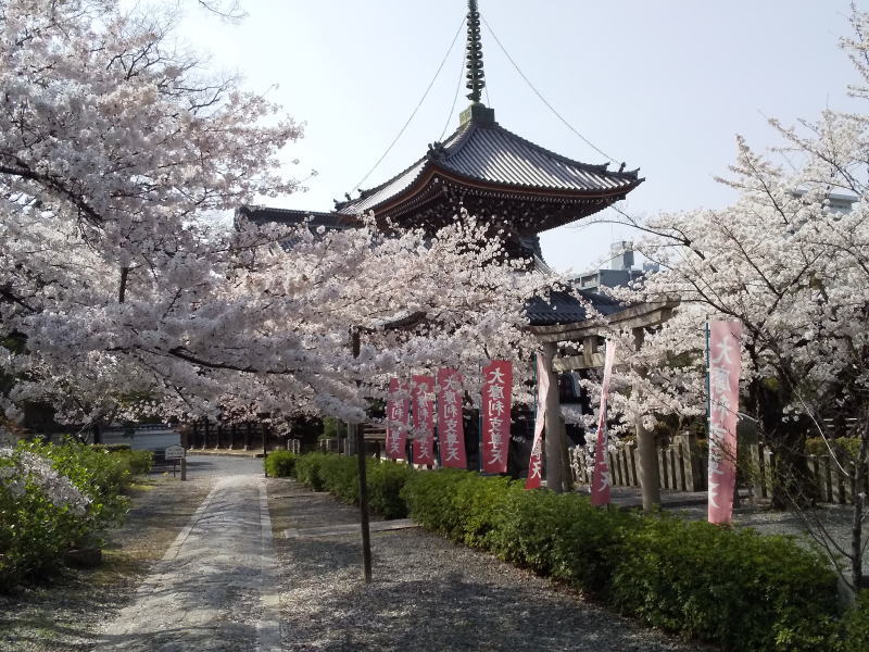 本法寺 2021 / 京都ブログガイド
