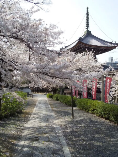 本法寺 2021 / 京都ブログガイド