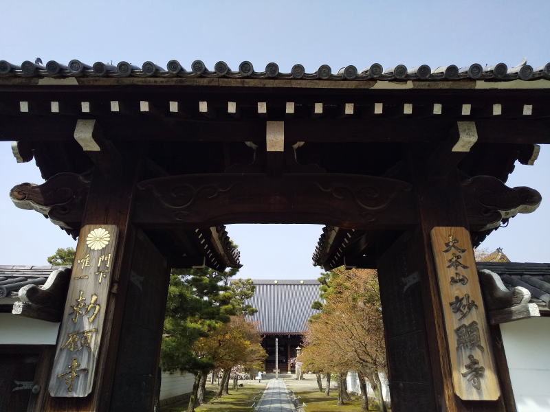 妙顕寺 2021 / 京都ブログガイド