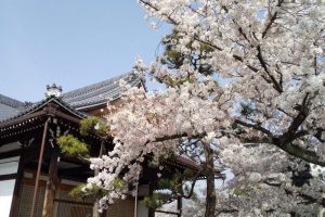 妙蓮寺 2021 / 京都ブログガイド