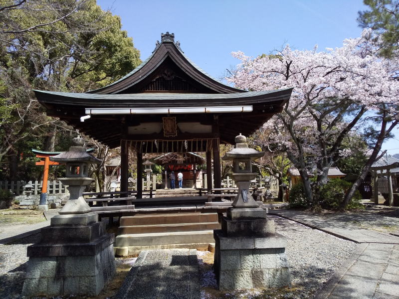 竹中稲荷社 桜 / 京都ブログガイド