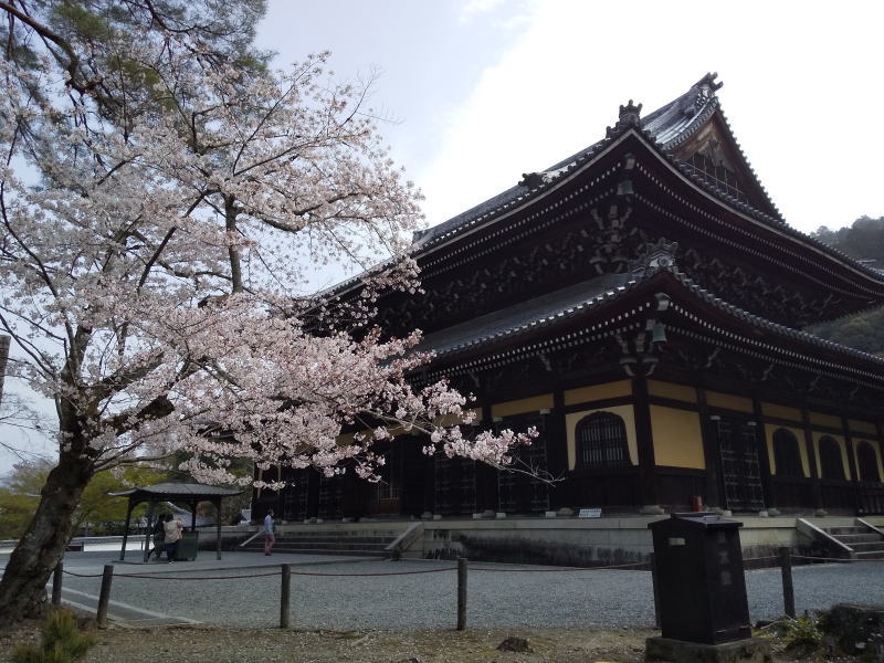 京都 桜モデルコース  南禅寺法堂辺り / 京都ブログガイド