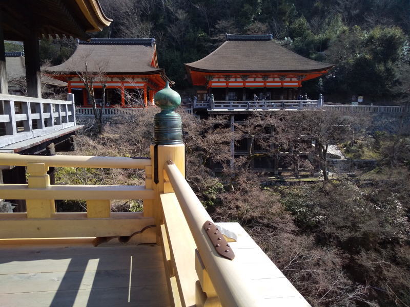 阿弥陀堂と奥の院 / 京都ブログガイド