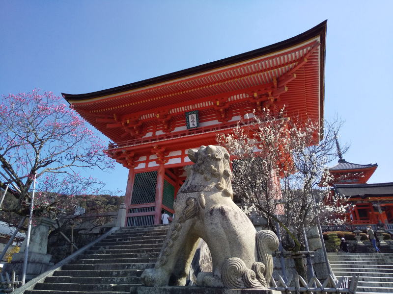 仁王門前の狛犬 / 京都ブログ ガイド