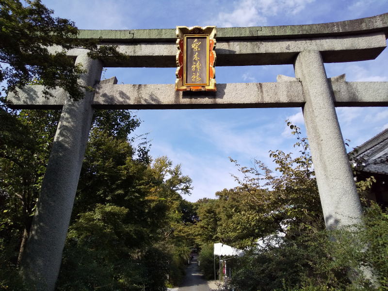 梨木神社 萩 2021 / 京都ブログガイド