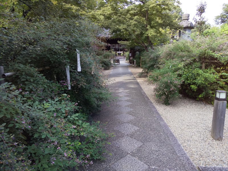 梨木神社 萩 2021 / 京都ブログガイド