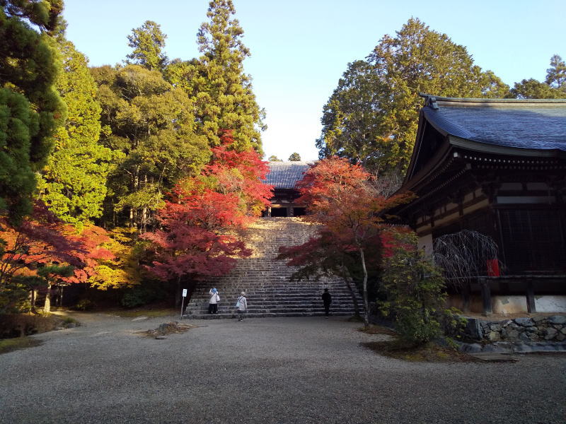 神護寺 紅葉 2021 / 京都ブログガイド