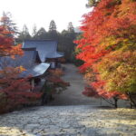 神護寺 紅葉 2021 / 京都ブログガイド