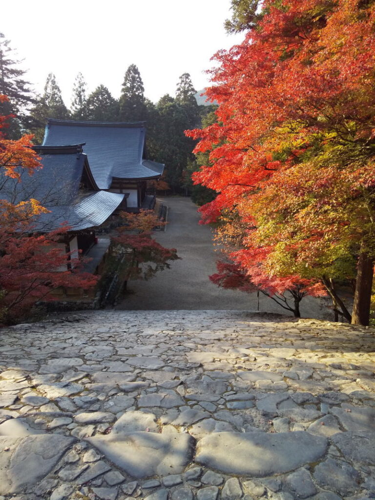 神護寺 紅葉 2021 / 京都ブログガイド