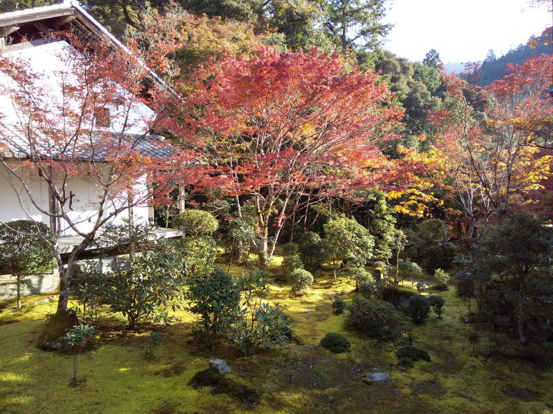 本堂西側庭園 / 京都ブログガイド