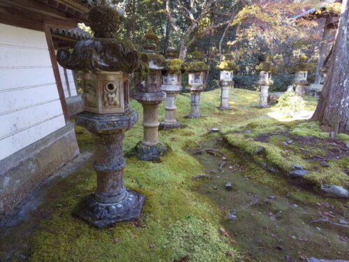 西明寺 紅葉 2021 / 京都ブログガイド