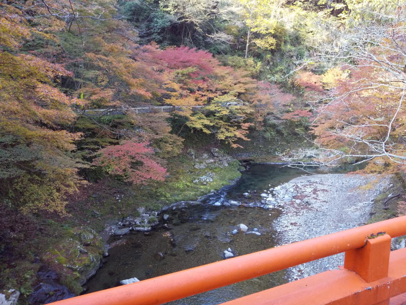 橋から下流の眺め / 京都ブログガイド