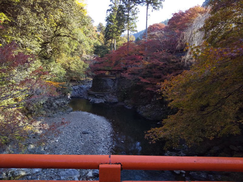 橋から上流の眺め / 京都ブログガイド