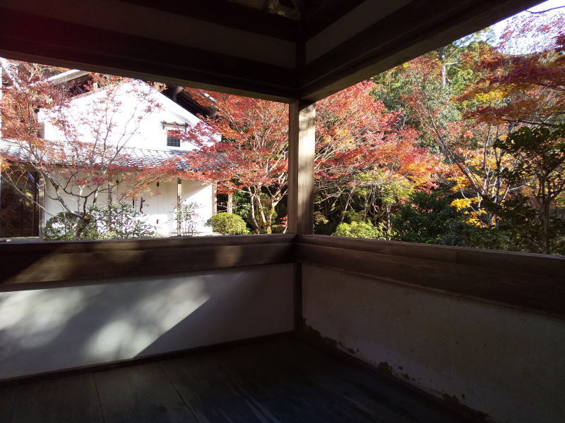 本堂西側庭園 / 京都ブログガイド