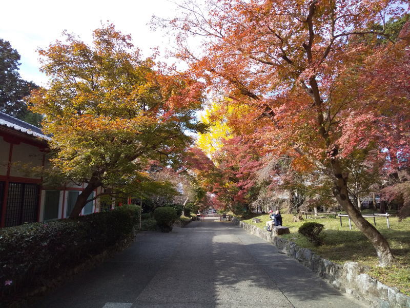 鷺森神社 紅葉 / 京都ブログガイド