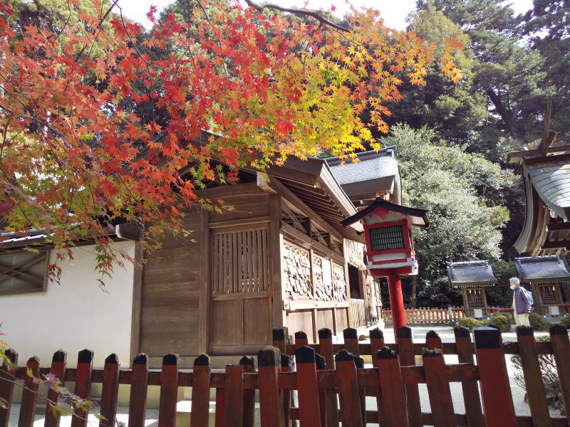 鷺森神社 紅葉 / 京都ブログガイド