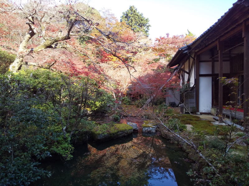 実相院山水庭園 2021 / 京都ブログガイド