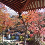 三明院 紅葉 2021 / 京都ブログガイド