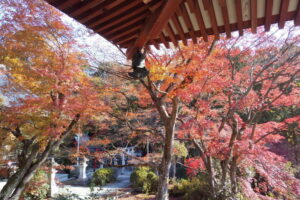 三明院 紅葉 2021 / 京都ブログガイド