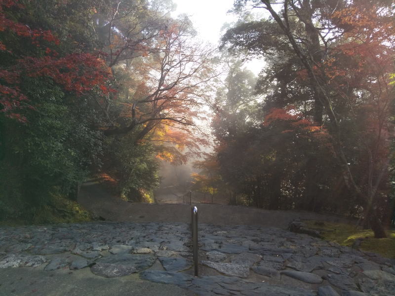 神護寺楼門前石段 / 京都ブログガイド