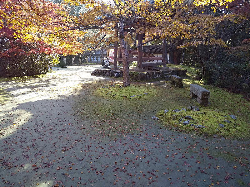 西明寺 2022 / 京都ブログガイド