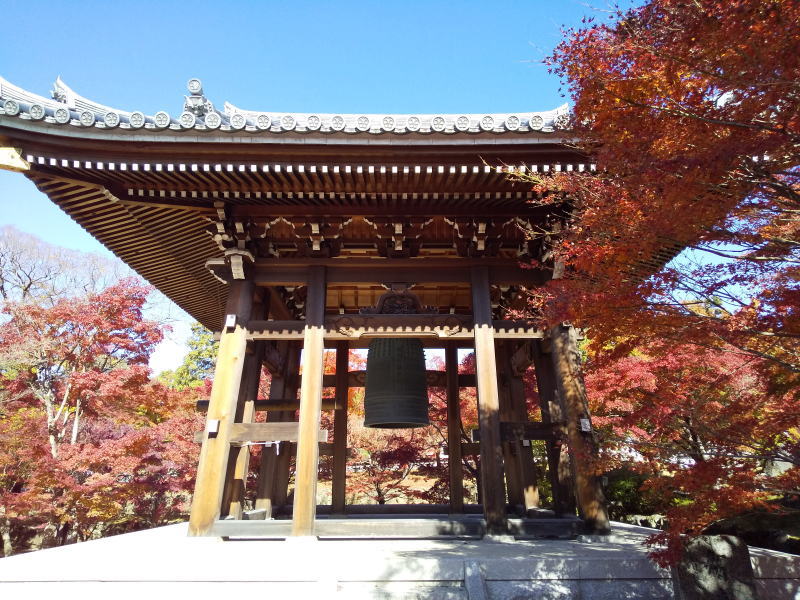 鐘楼周辺の紅葉 / 京都ブログガイド