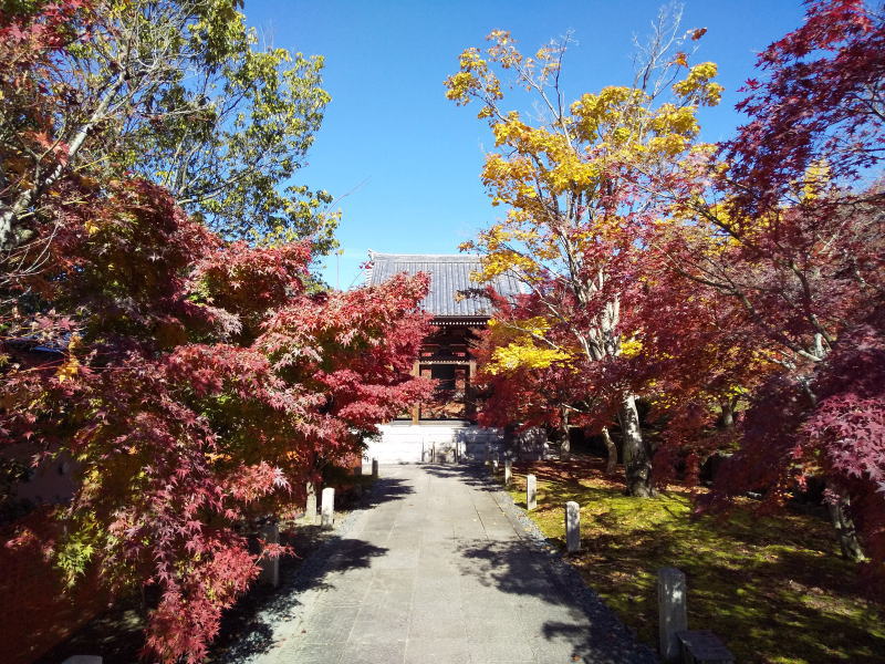 鐘楼周辺の紅葉 / 京都ブログガイド