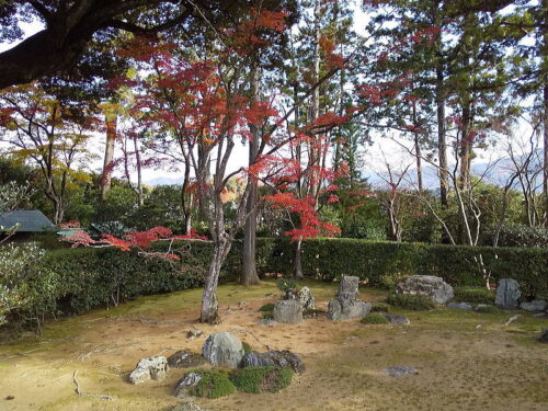 圓通寺庭園 / 京都ブログガイド