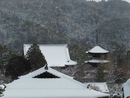 真如堂雪景色 / 京都ブログガイド