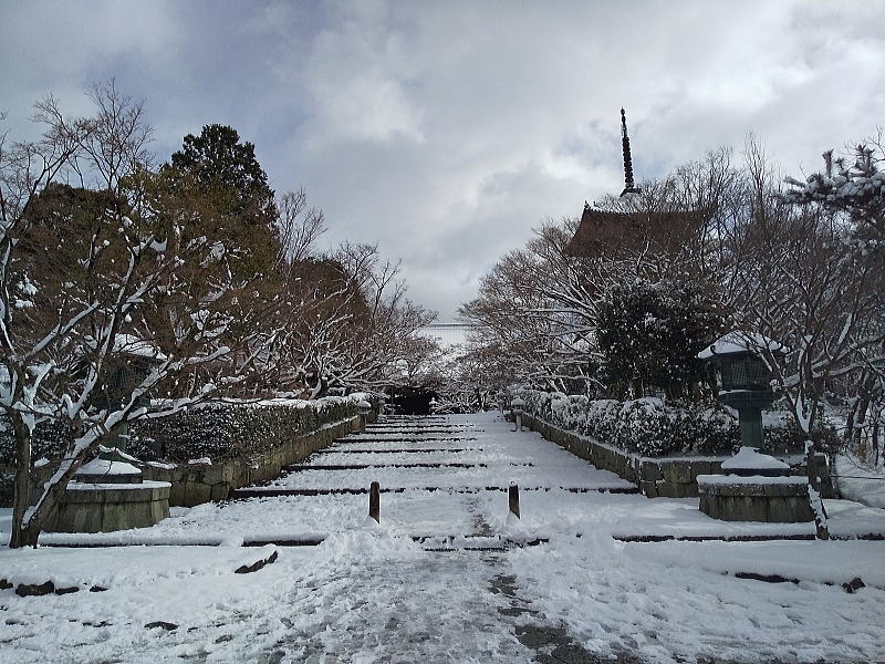 真如堂 雪景色 / 京都ブログガイド