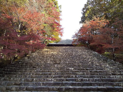 神護寺 / 京都ブログガイド