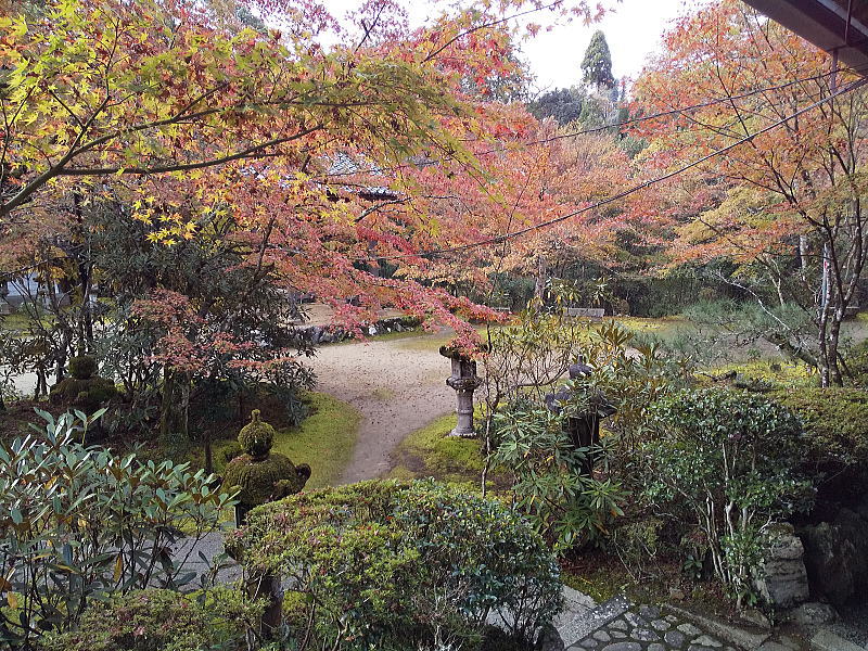 西明寺客殿からの眺め / 京都ブログガイド