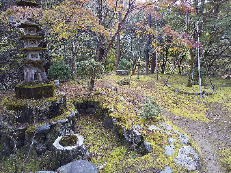 西明寺表門前の庭 / 京都ブログガイド