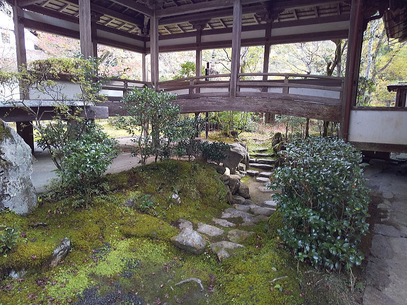 西明寺苔庭への小径 / 京都ブログガイド