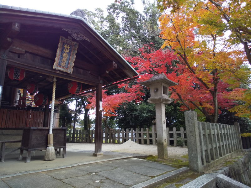 竹中稲荷神社 紅葉 2023 / 京都ブログガイド