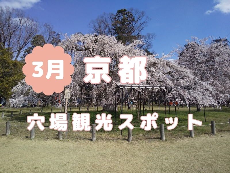 京都観光 穴場 3月 / 京都観光旅行ガイド