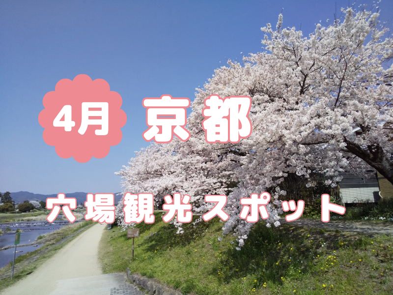 京都観光 穴場 4月 / 京都観光旅行ガイド