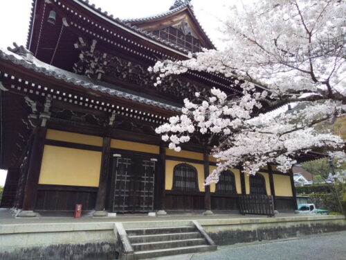 南禅寺 桜 / 京都観光旅行ガイド
