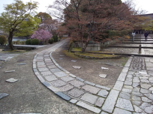 真如堂 桜 / 京都観光旅行ガイド