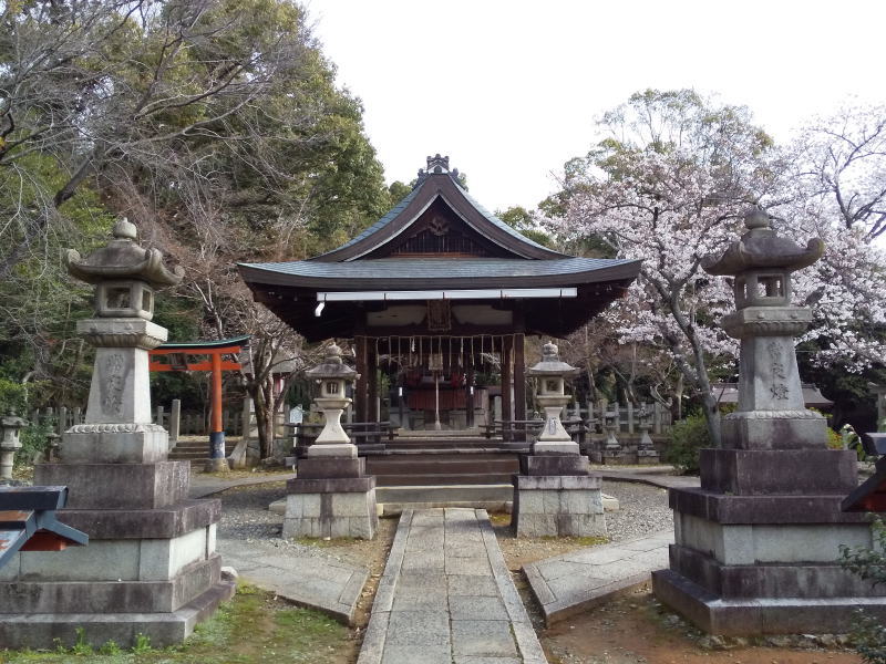 竹中稲荷神社 桜 / 京都観光旅行ガイド