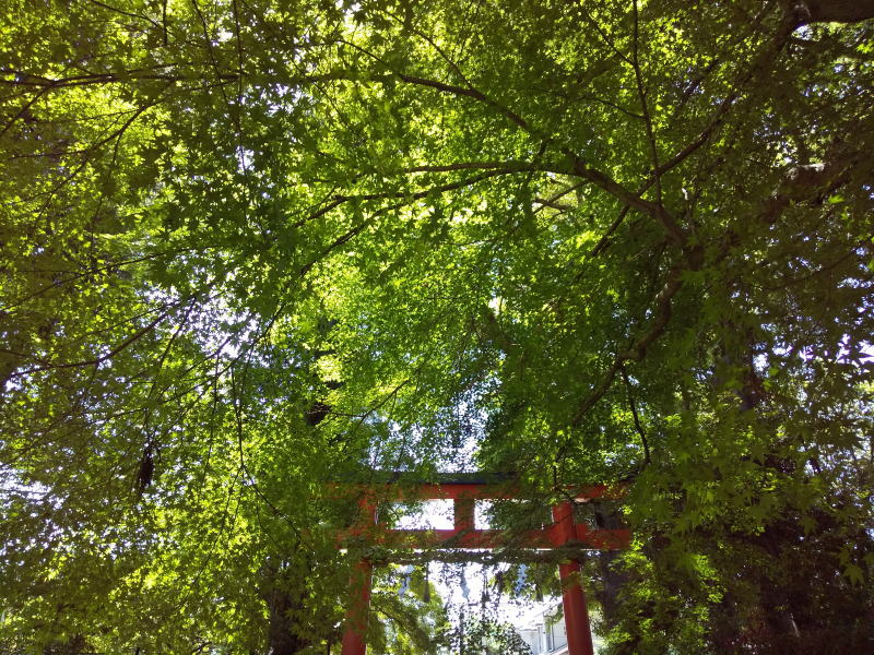 大田神社 / 京都観光旅行ガイド