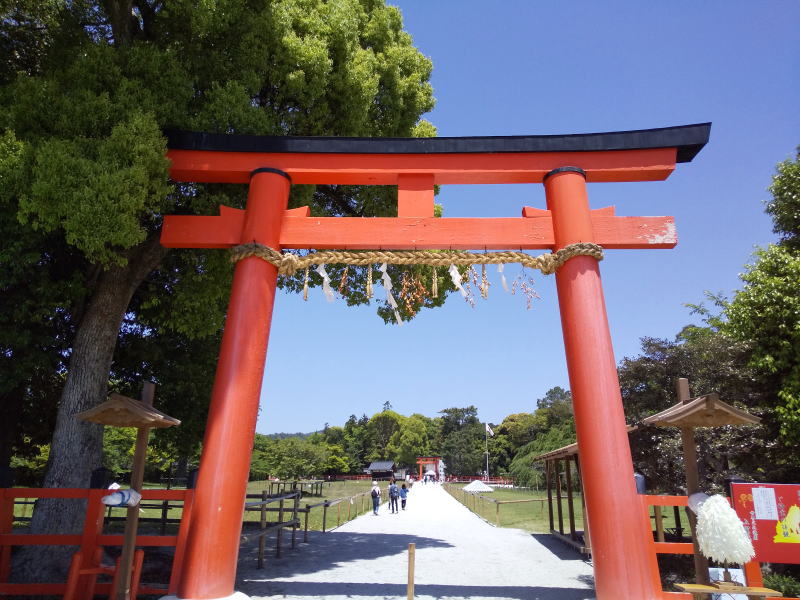 上賀茂神社 青もみじ 2024 / 京都観光旅行ガイド
